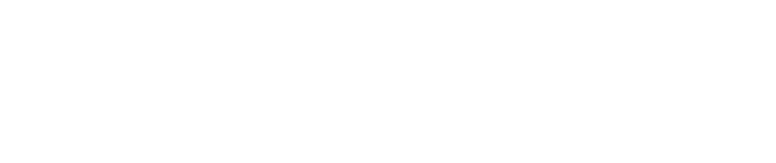 dividenz-logo-blanco